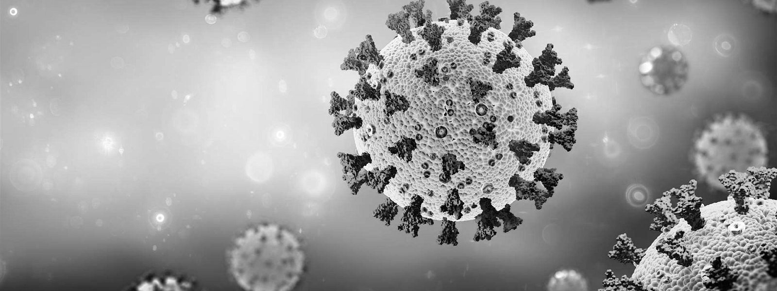 The Covid 19 virus - show your vaccination status