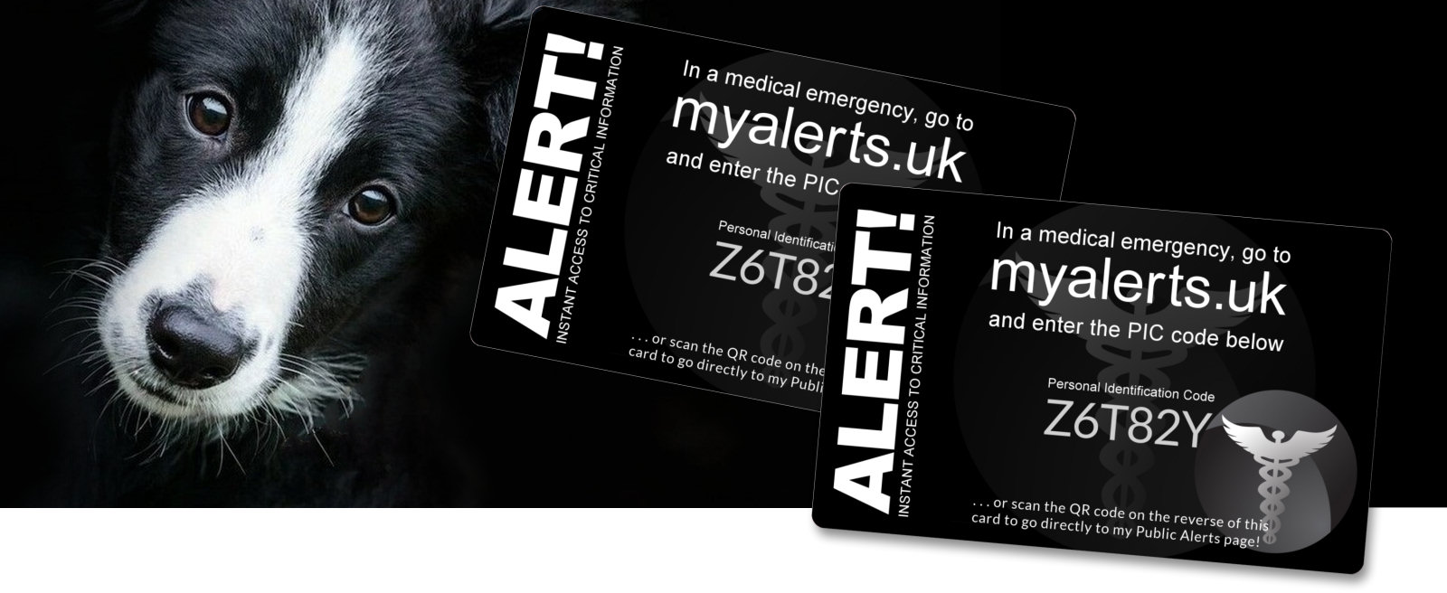 MyAlerts! Pet alert information if you are involved in an accident.